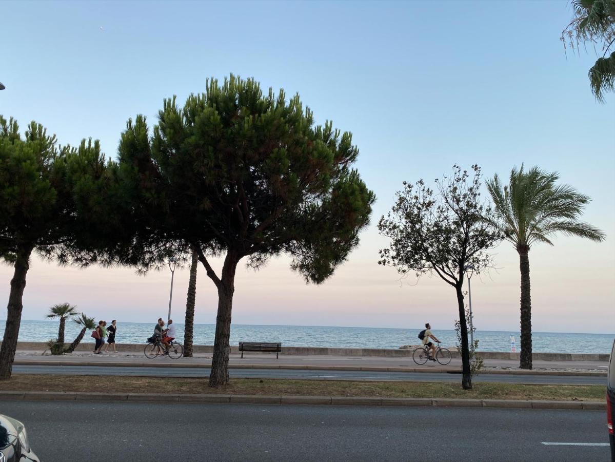 Coquet Logement Front De Mer Cagnes-sur-Mer Buitenkant foto